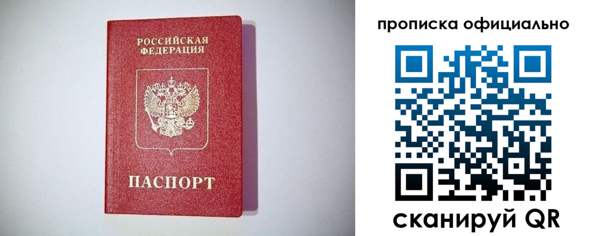прописка в Московской области